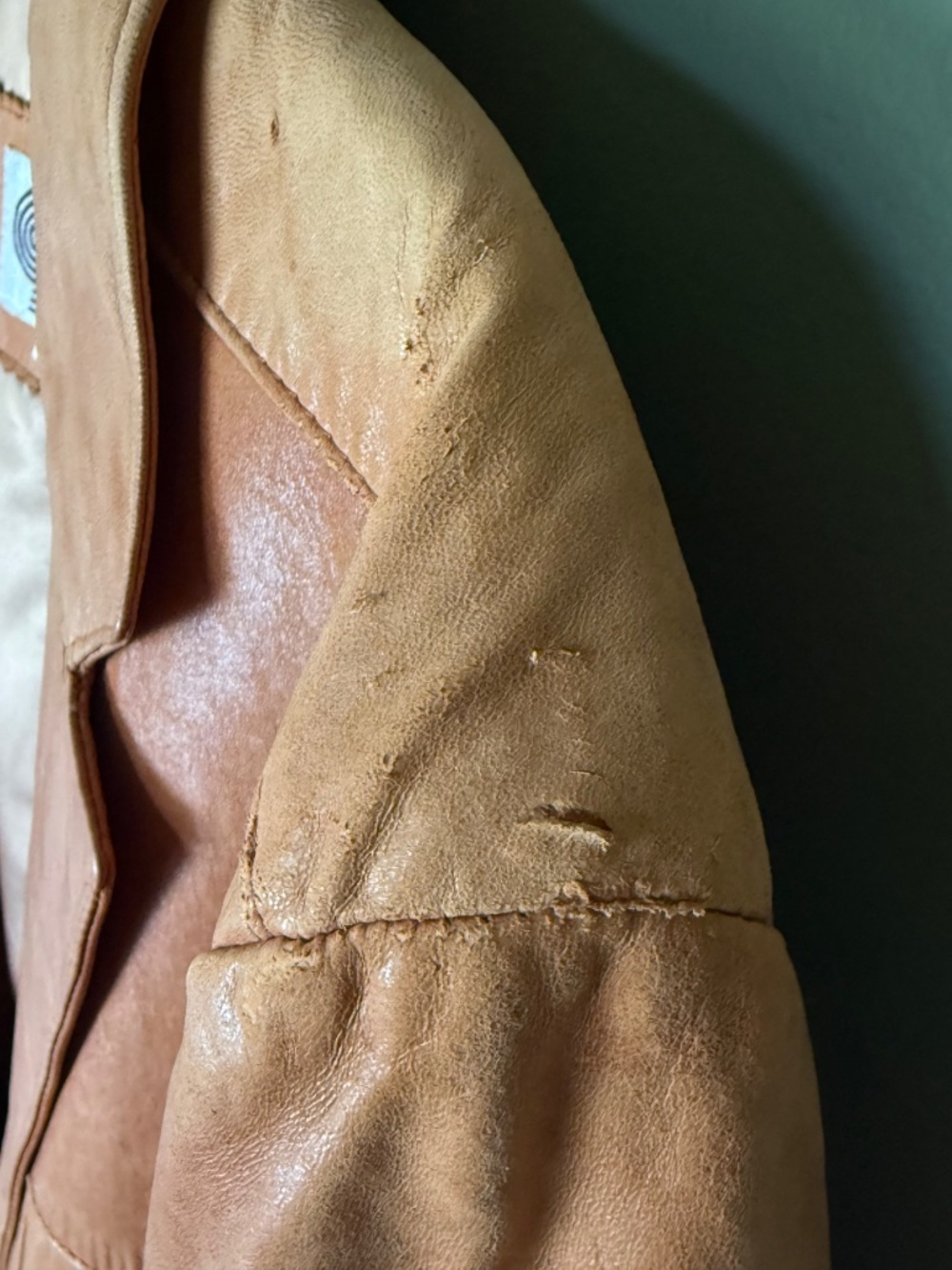 Leather blazer - Picture 5 of 5